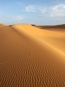 Dune